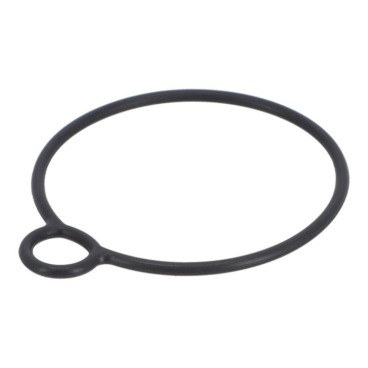 Gasket Volvo (1326707)