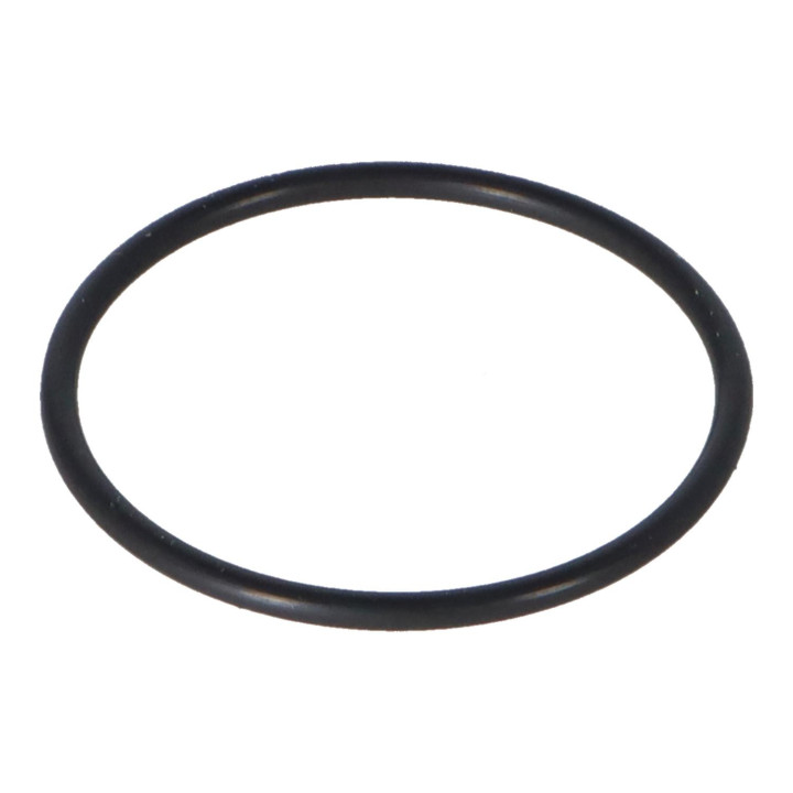 O-ring Volvo (31359676)