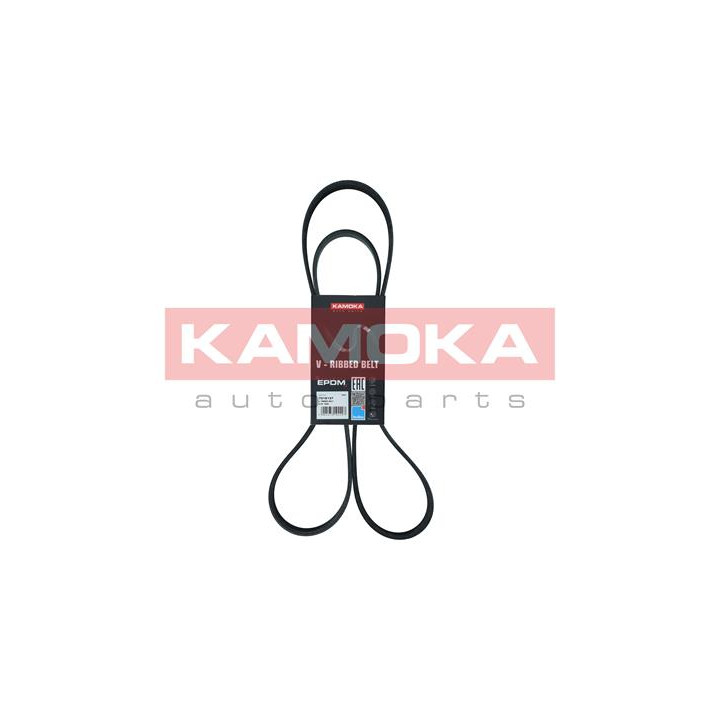 Pasek klinowy wielorowkowy KAMOKA 7016137