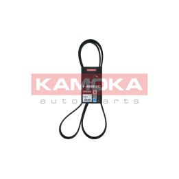Pasek klinowy wielorowkowy KAMOKA 7016155