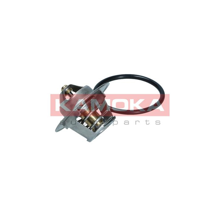Termostat KAMOKA 7710063