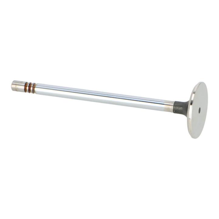 Inlet valve Volvo (1317793)
