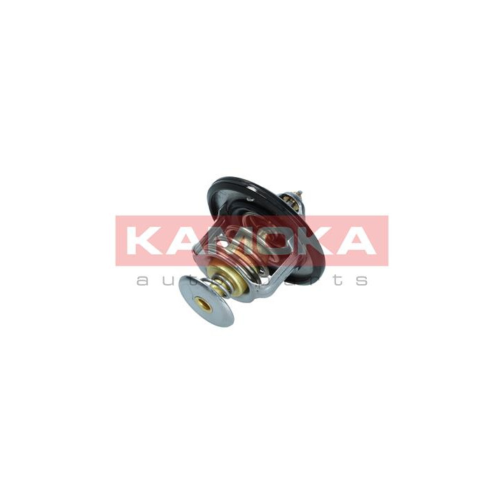 Termostat KAMOKA 7710067