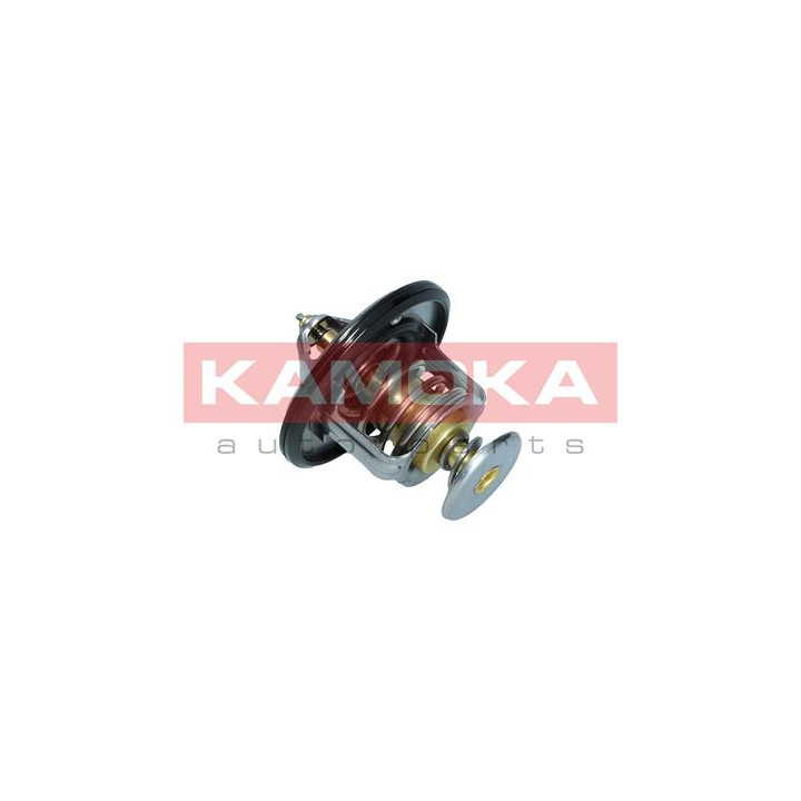 Termostat KAMOKA 7710067