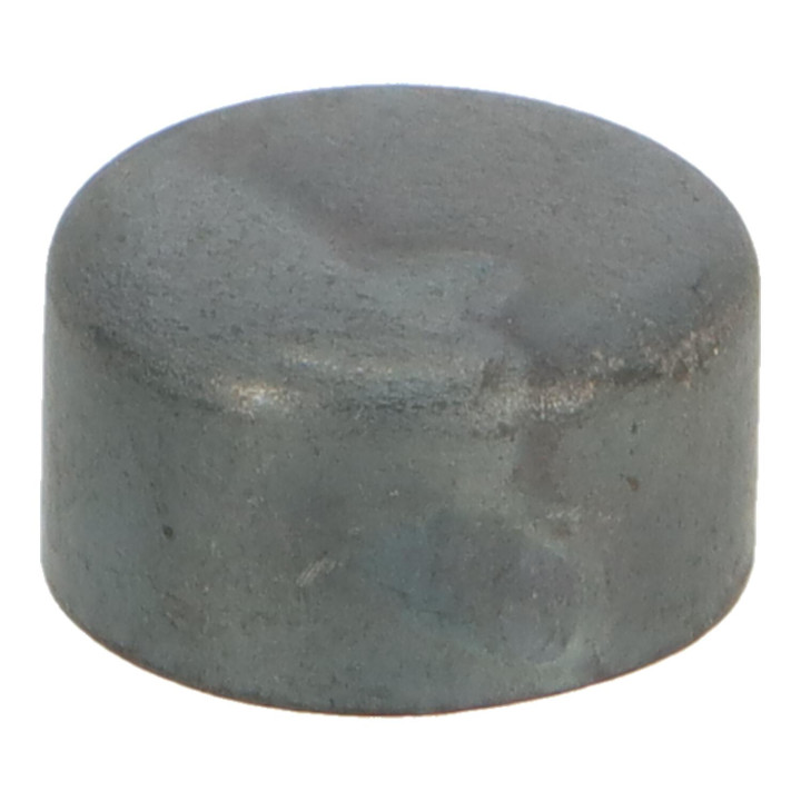Cap plug Volvo (191496)