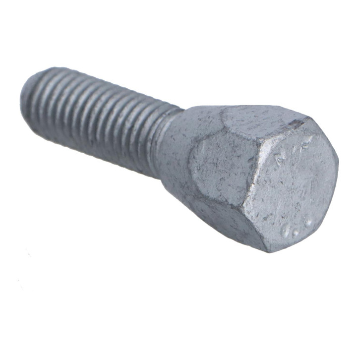 Hexagon screw Volvo (31251075)