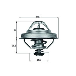 Termostat MAHLE TX 28 88D