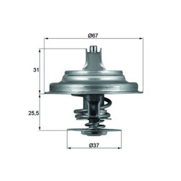 Termostat MAHLE TX 25 87D