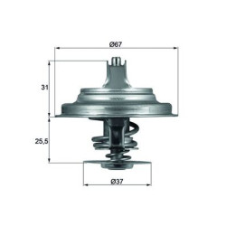 Termostat MAHLE TX 25 87D