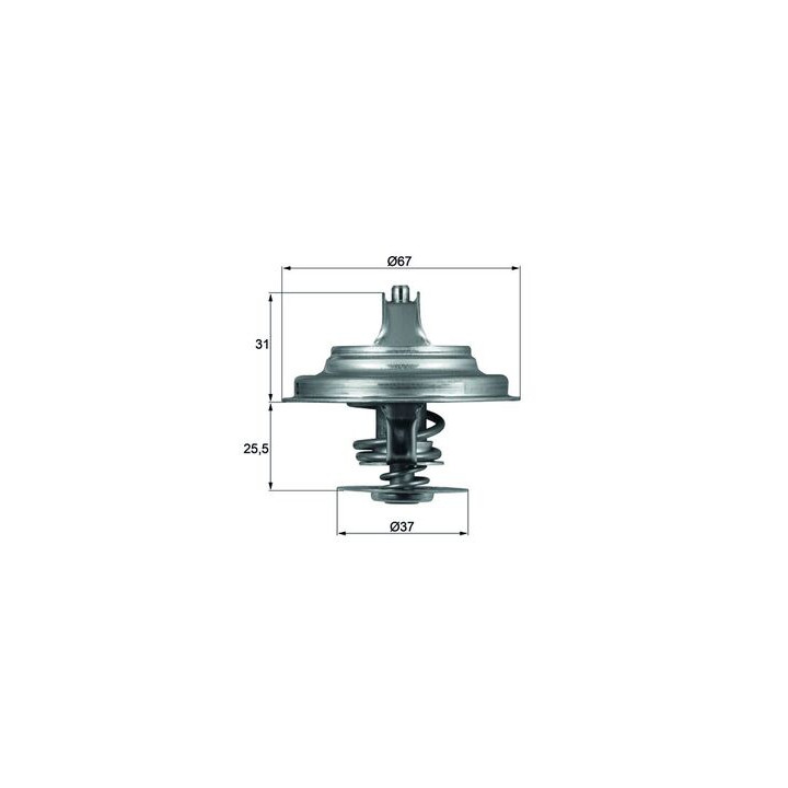 Termostat MAHLE TX 25 87D