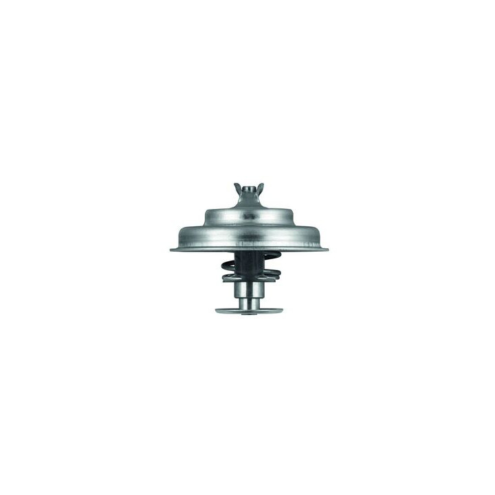 Termostat MAHLE TX 75 80D