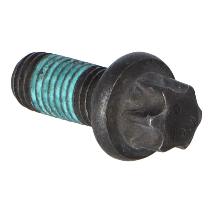 Six point screw Volvo (30624415)