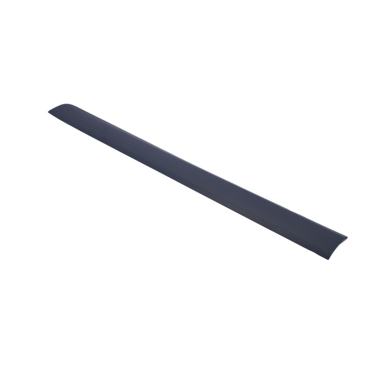 Trim moulding Volvo (39822156)